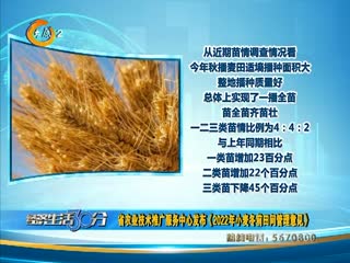 省农业技术推广服务中心发布《2022年小麦冬前田间管理意见》