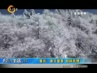 重庆：春日雪景 别样风情