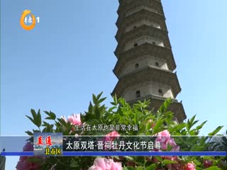 太原双塔·晋祠牡丹文化节启幕