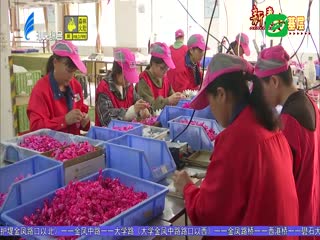 “中國玩具之都”澄海：開足馬力忙生產 2021-03-02